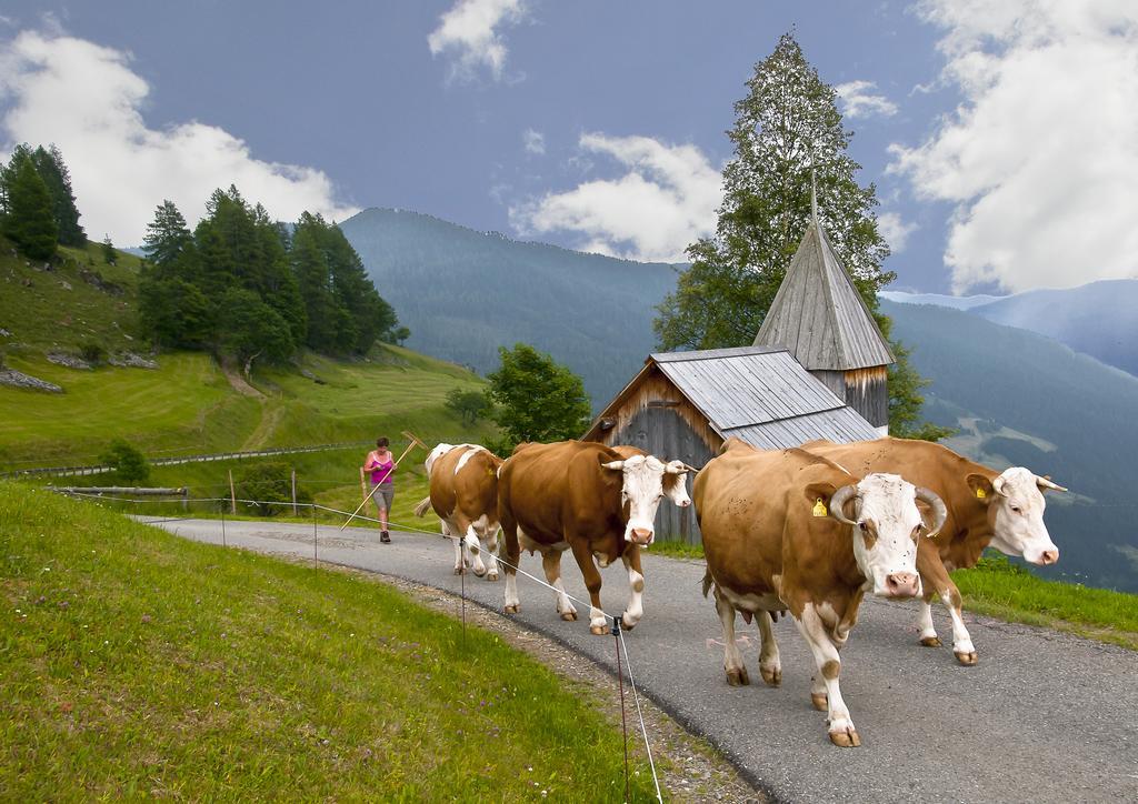 Schrunerhof Ebene Reichenau 部屋 写真