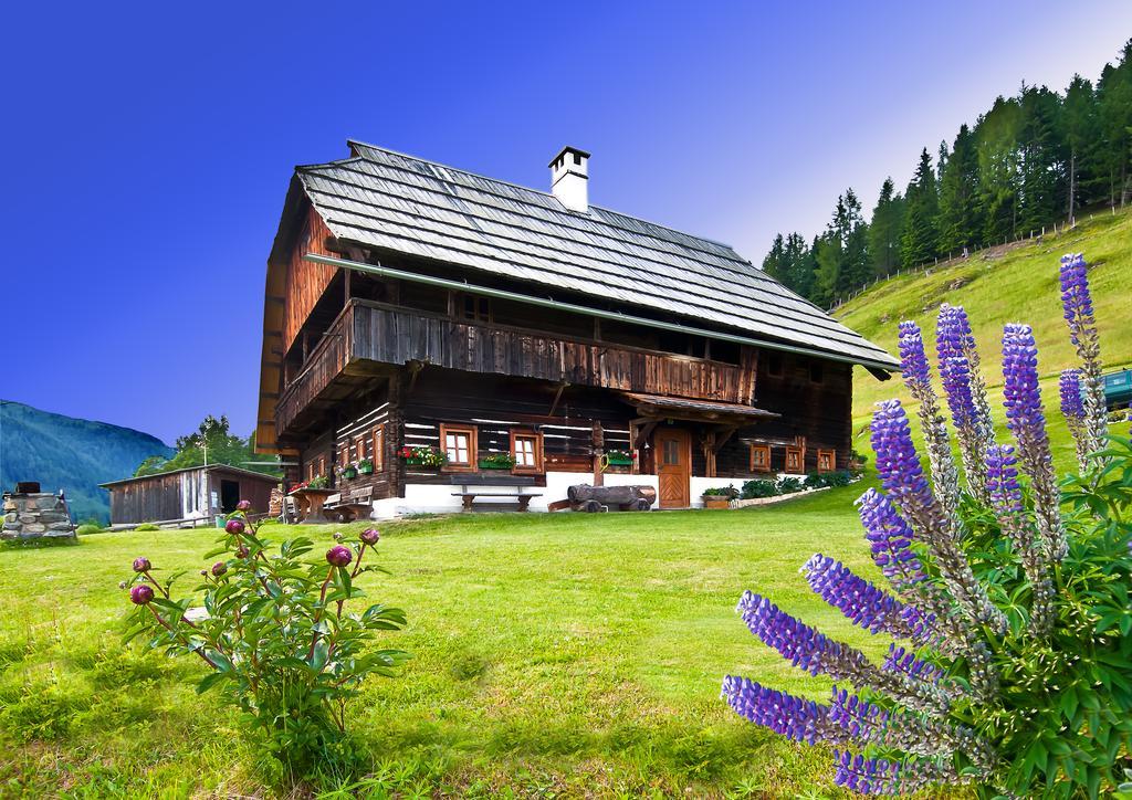 Schrunerhof Ebene Reichenau 部屋 写真