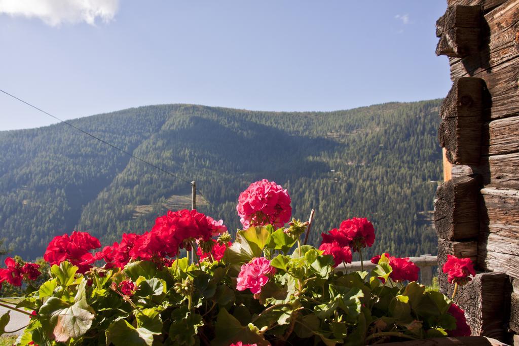 Schrunerhof Ebene Reichenau 部屋 写真