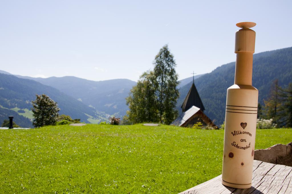 Schrunerhof Ebene Reichenau 部屋 写真