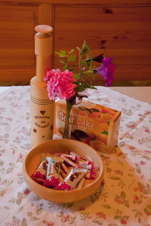 Schrunerhof Ebene Reichenau 部屋 写真