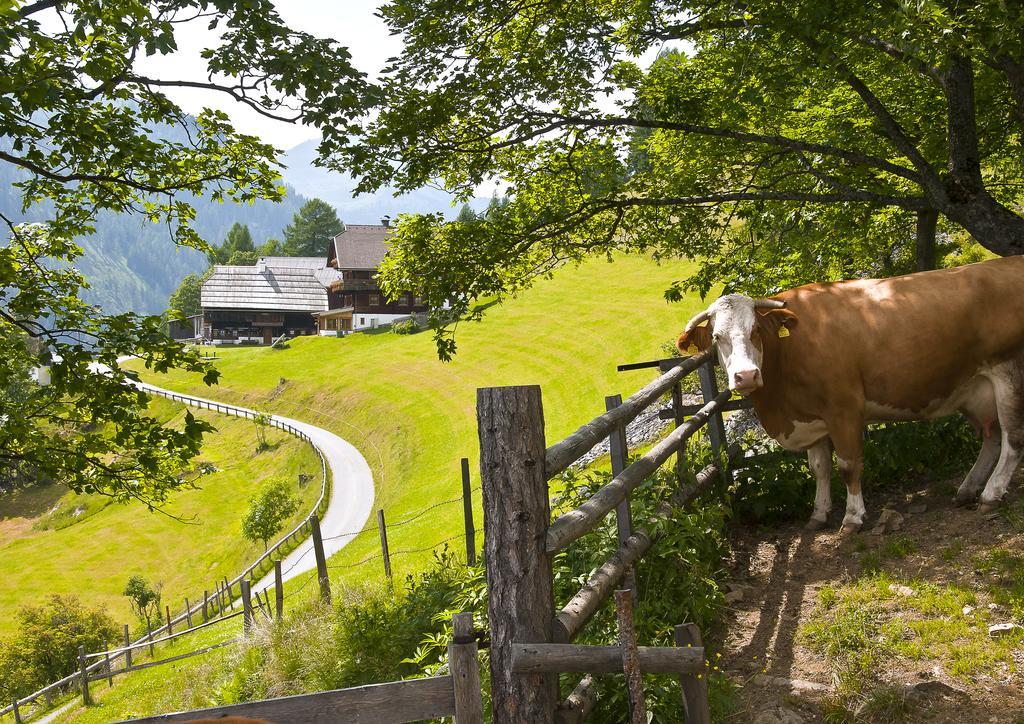 Schrunerhof Ebene Reichenau エクステリア 写真