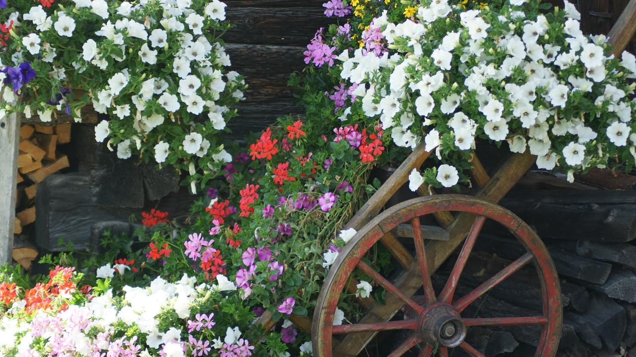 Schrunerhof Ebene Reichenau エクステリア 写真