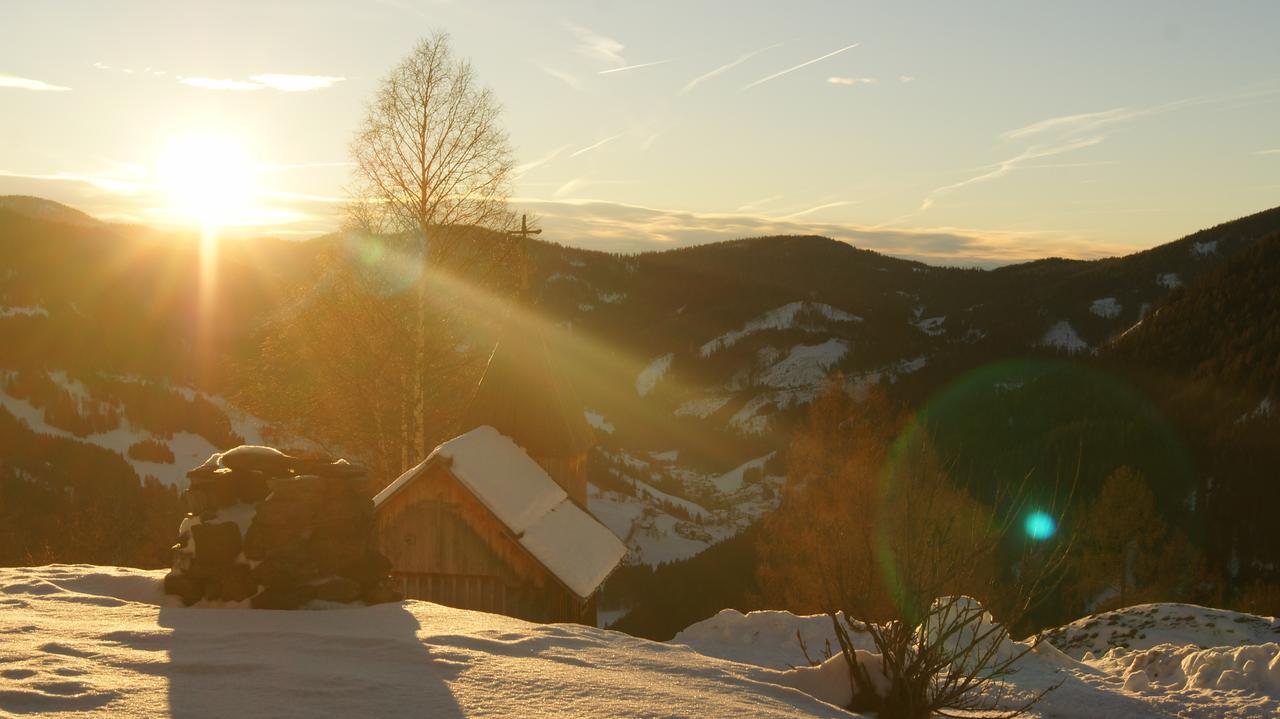Schrunerhof Ebene Reichenau エクステリア 写真