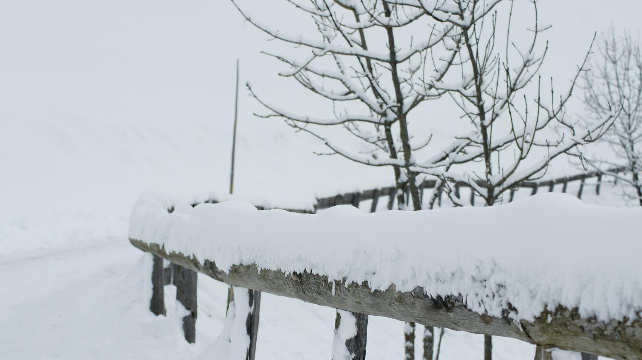 Schrunerhof Ebene Reichenau エクステリア 写真